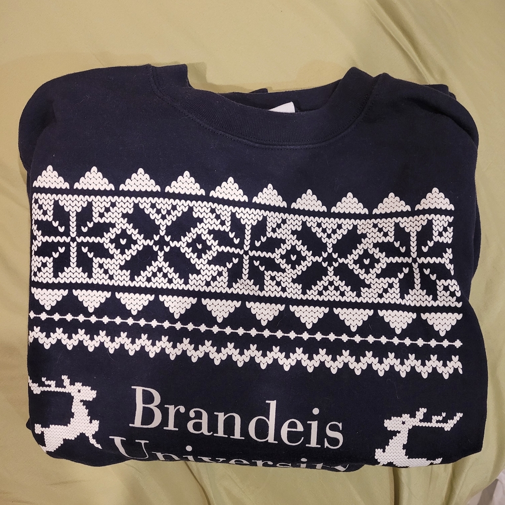 Champion Navy Crewneck Sweater with White Fair Isle Pattern